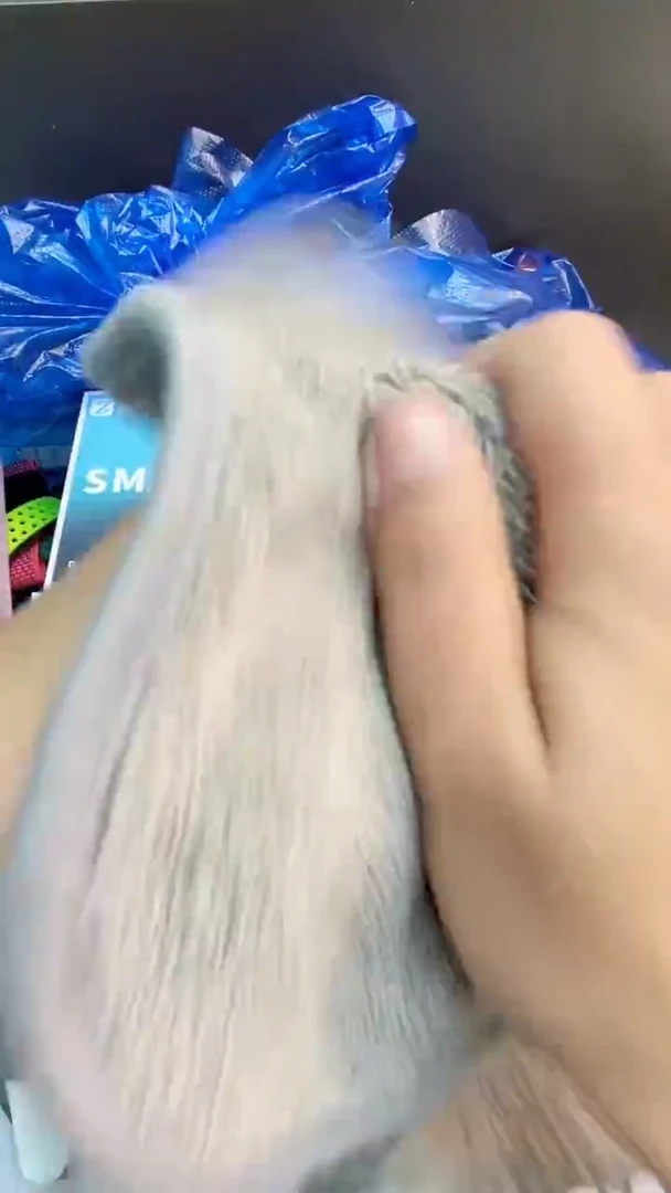 未拆封新款ultra2盒装手表