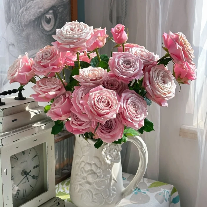 【今喜花舍】（多头）姆齐娅小姐 0°以下地区记得拍保温棉哦！！！