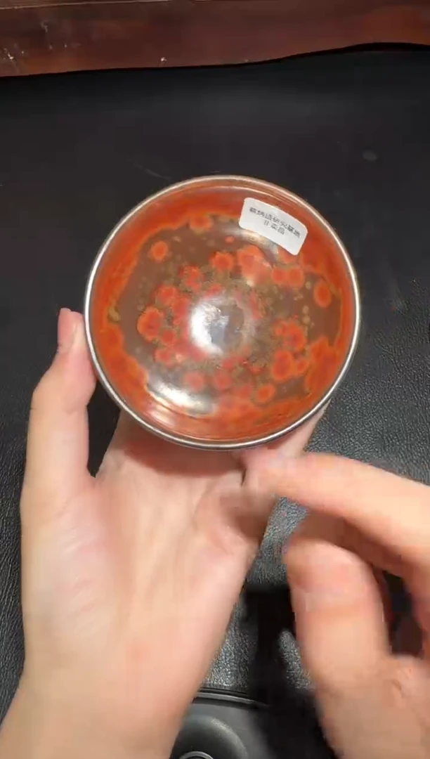 茶盏蔡炳盛火凤凰平口14