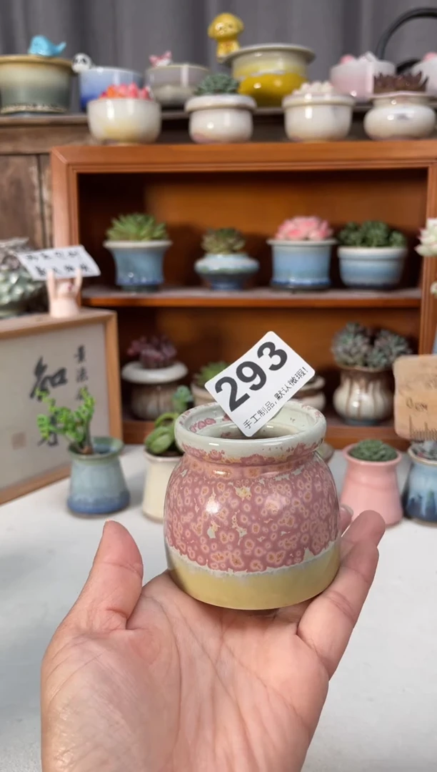 瓷片293小芳直播编号