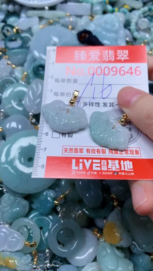 翡翠未镶嵌吊坠(不含链)9646多样性发其一