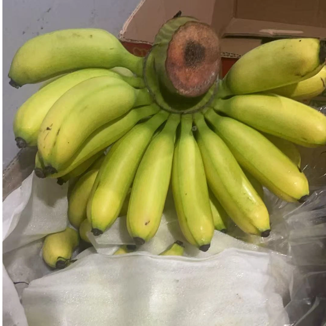 手指蕉两把同城抖音小时达送货同城送