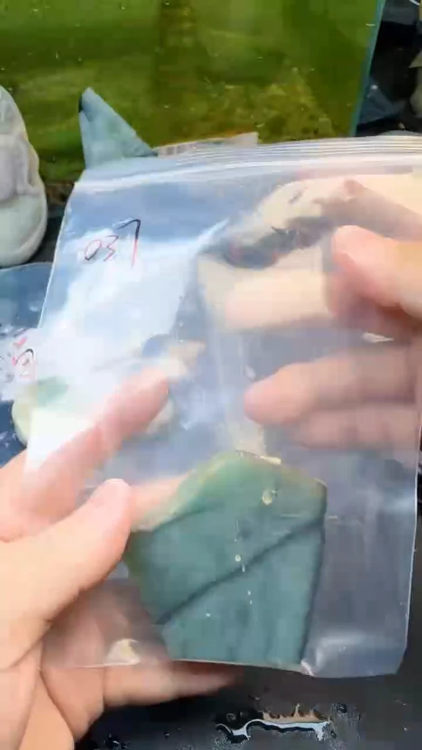 【闪购商品】翡翠颈饰未镶嵌037天然翡翠