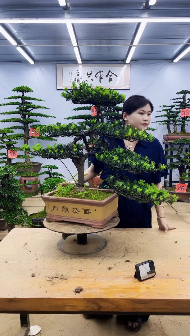 无花朵一物一拍，所见即所得