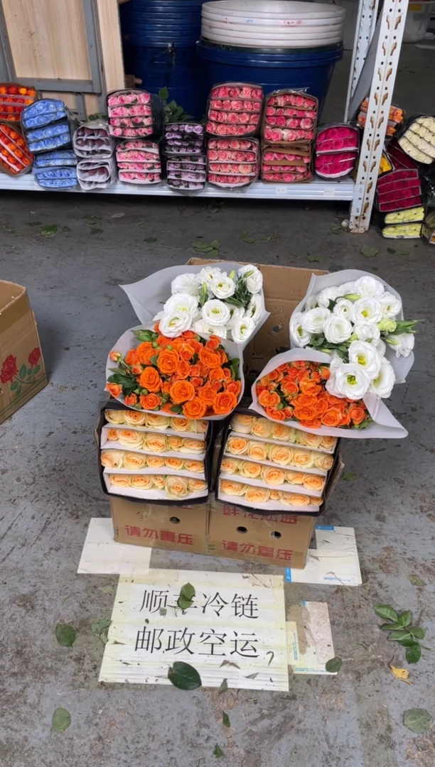 香槟20枝+橙芭比10枝+白色洋桔梗400克