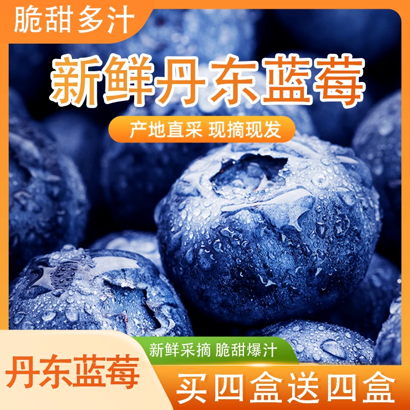 10盒丹东蓝莓鲜果15mm-18mm中大果净重400-1000g包邮新鲜花香蓝莓辽宁省丹东市