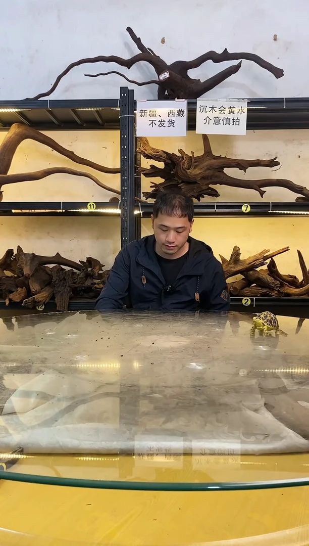 【闪购商品】柚木木艺241鱼缸造景沉木
