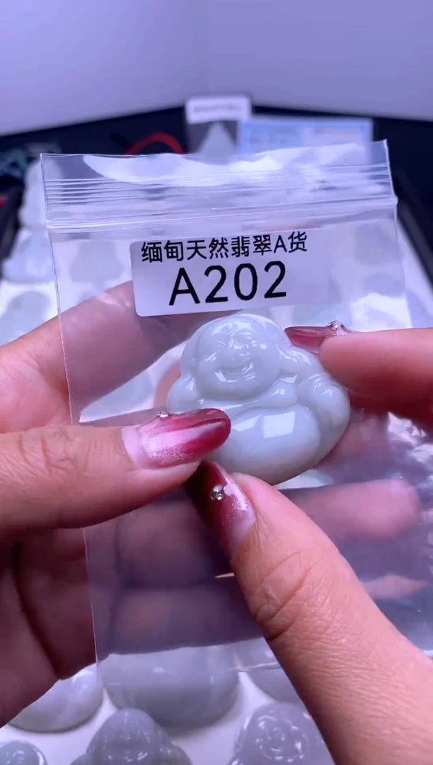 颈饰未镶嵌翡翠A202