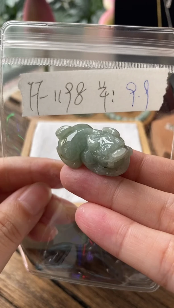 翡翠未镶嵌吊坠(不含链)FF1198