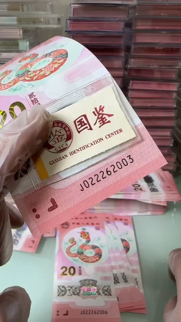 【闪购商品】塑料022262003蛇钞单张