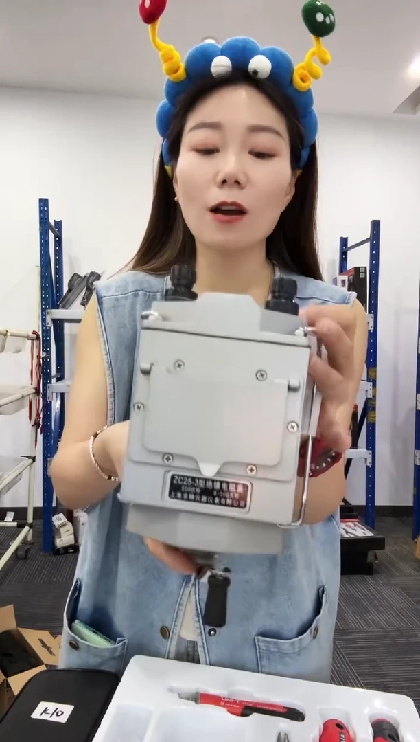 南京科华ZC25-3/500V铝壳兆欧表