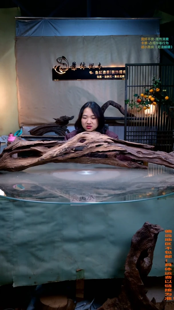 摆件景沐沉木i977景沐沉木i977