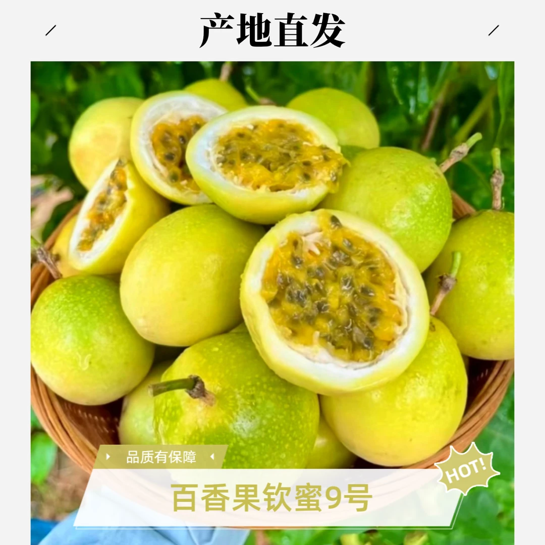 云南元江新鲜钦蜜九号百香果酸甜现摘现发当季水果