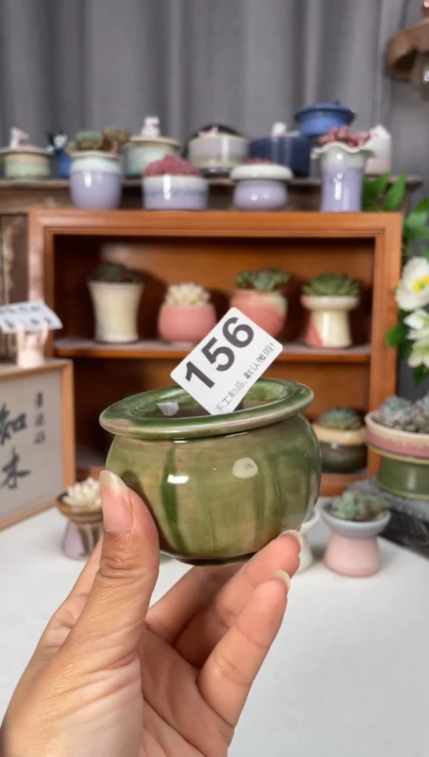 瓷片156小芳直播编号