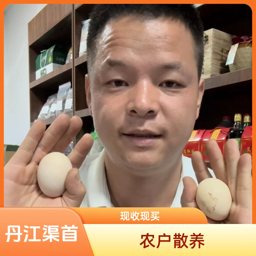 （破损包赔）小海甄选农家现收现卖土鸡蛋南水北调渠首