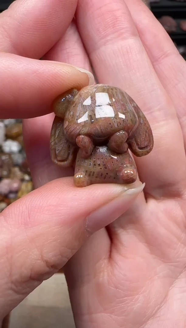 颈饰未镶嵌硅化珊瑚（珊瑚玉）233