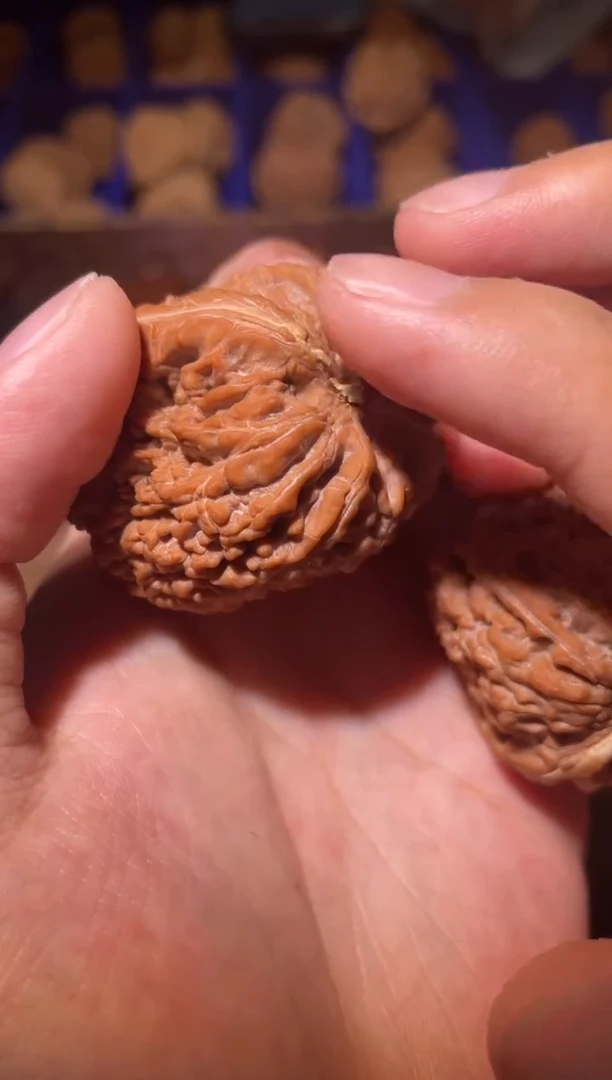 把件文玩核桃薛****竿文玩核桃大蒜头
