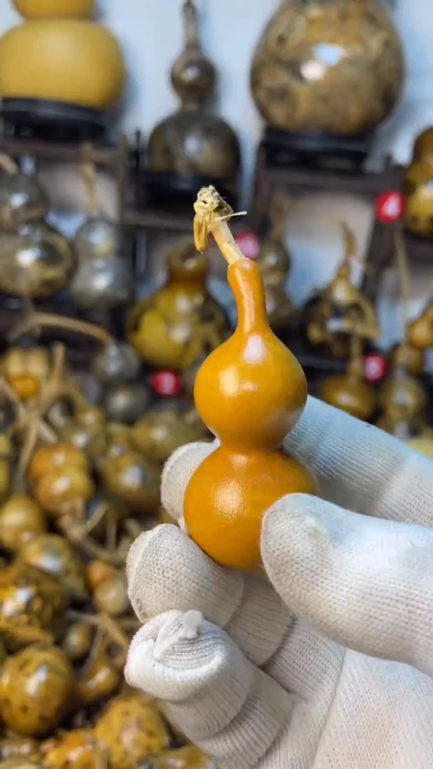 【闪购商品】葫芦葫芦葫芦葫芦