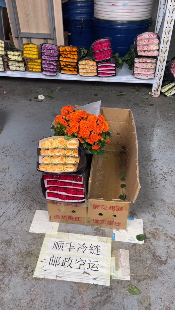 冰上芭蕾20枝+香槟20枝+橙芭比10枝
