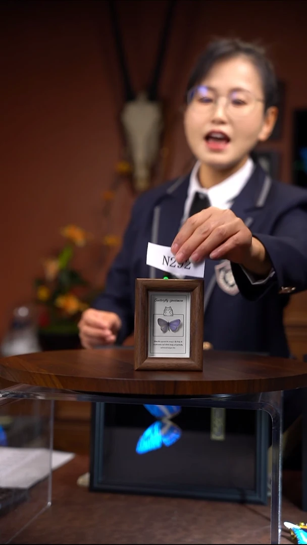 N292珍贵妩灰蝶木质冰箱贴