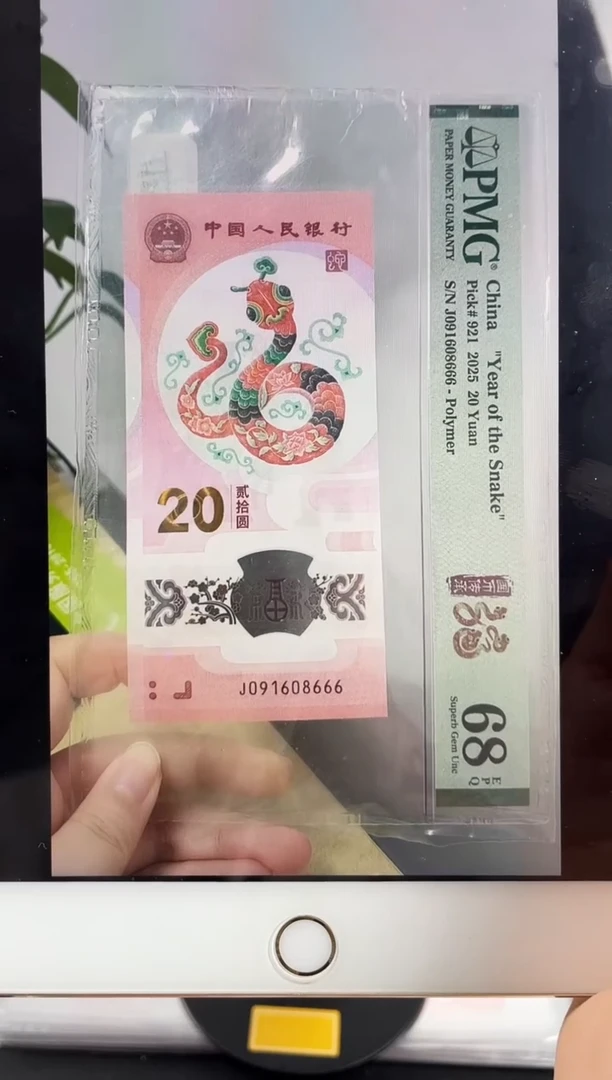 塑料蛇钞倒置号68分豹子666