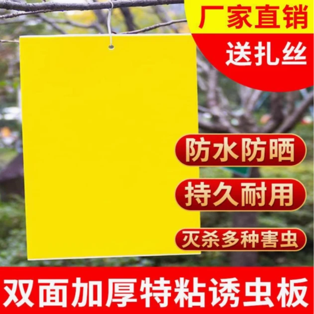 黄板双面粘虫板小黑飞粘板蓟马沾果蝇诱捕器菜园果园庭院大棚专用