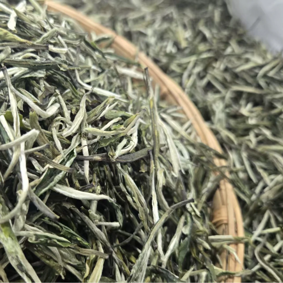 【滇绿青针】绿茶2025云南春尖茶叶直播绿茶春尖茶春茶茶叶