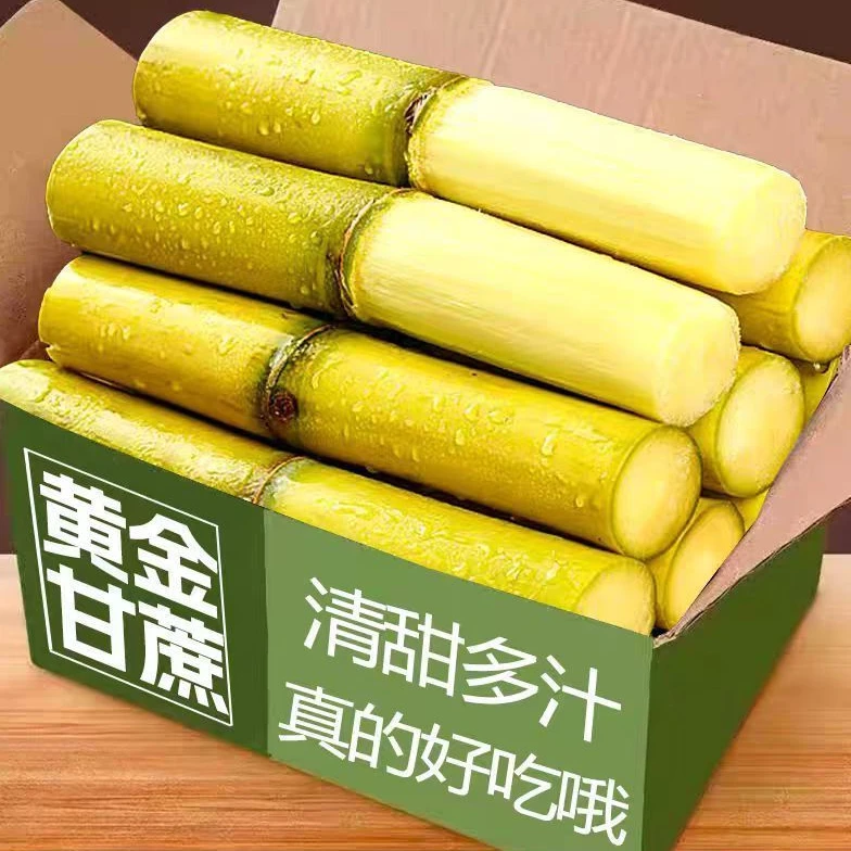 整箱正宗云南黄金甘蔗精选中段当季新鲜水果黄甘蔗批发产地直发