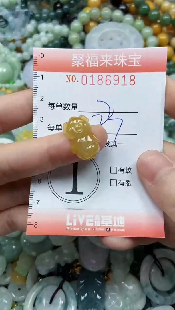 翡翠未镶嵌颈饰闪购0186918