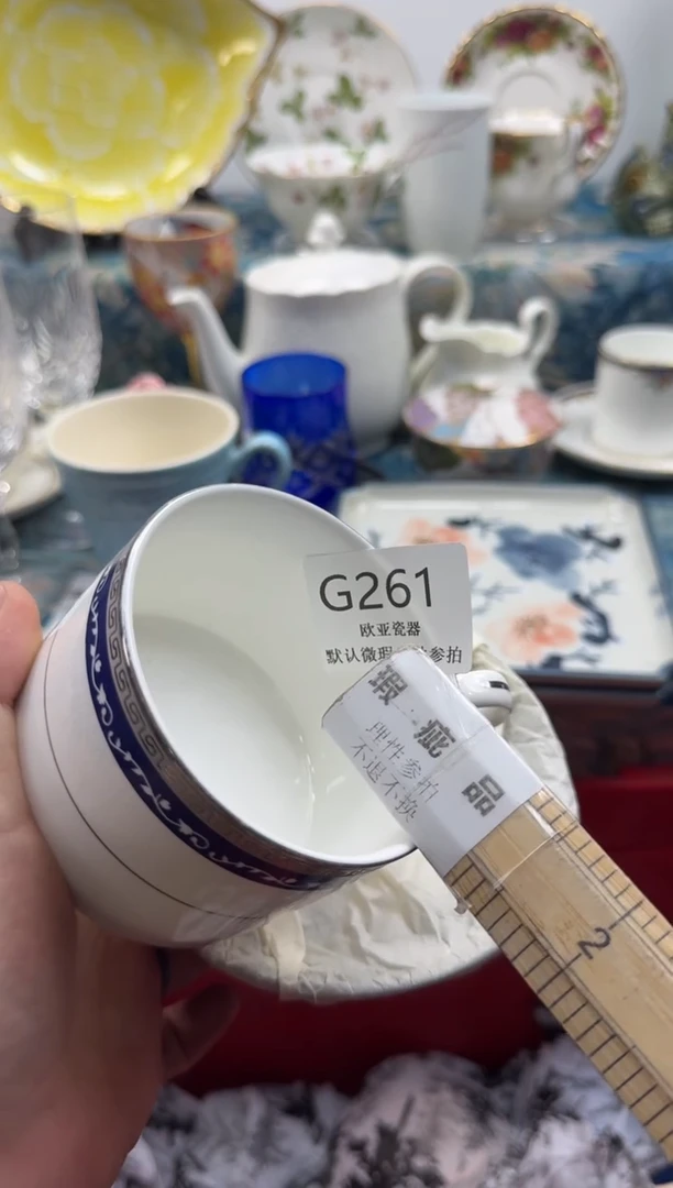 瓷片y****a      G261