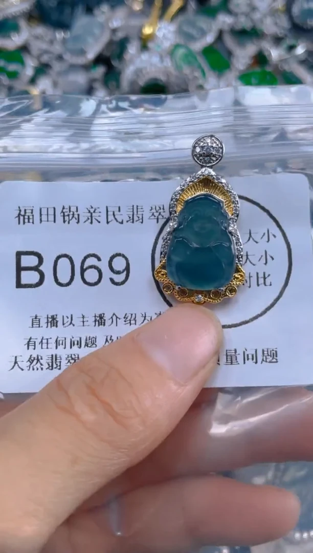 翡翠未镶嵌颈饰069