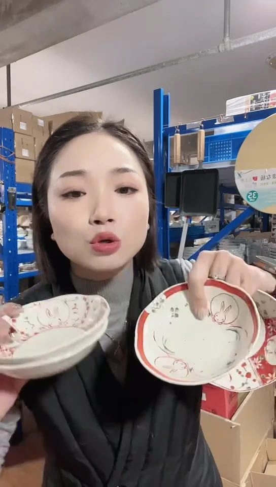 【闪购商品】瓷片日本瓷器赤绘13cm钵五只不同花D697