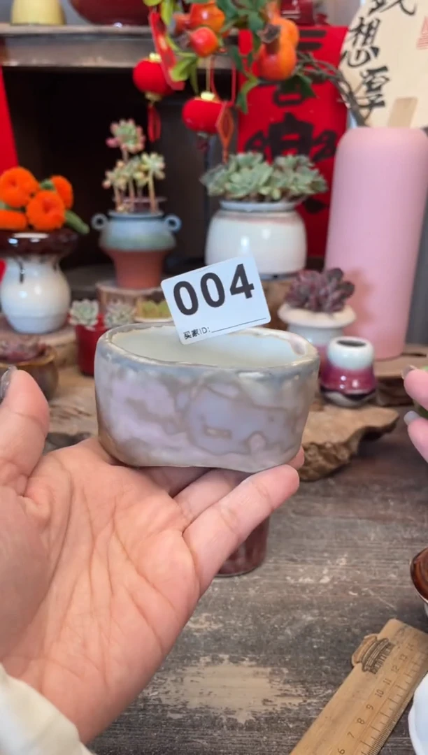 【闪购商品】摆件004知木小芳花盆