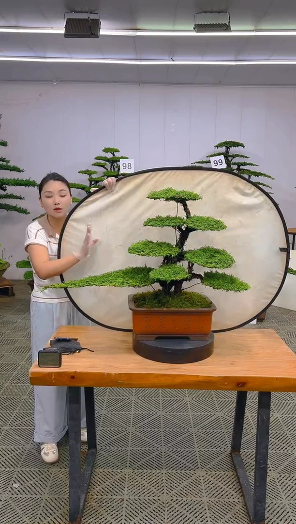 无花朵一物一拍一物一拍