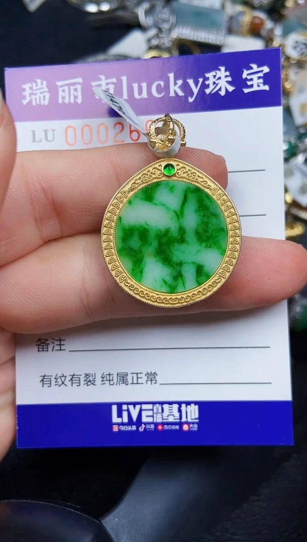 翡翠银S925镶嵌颈饰2664