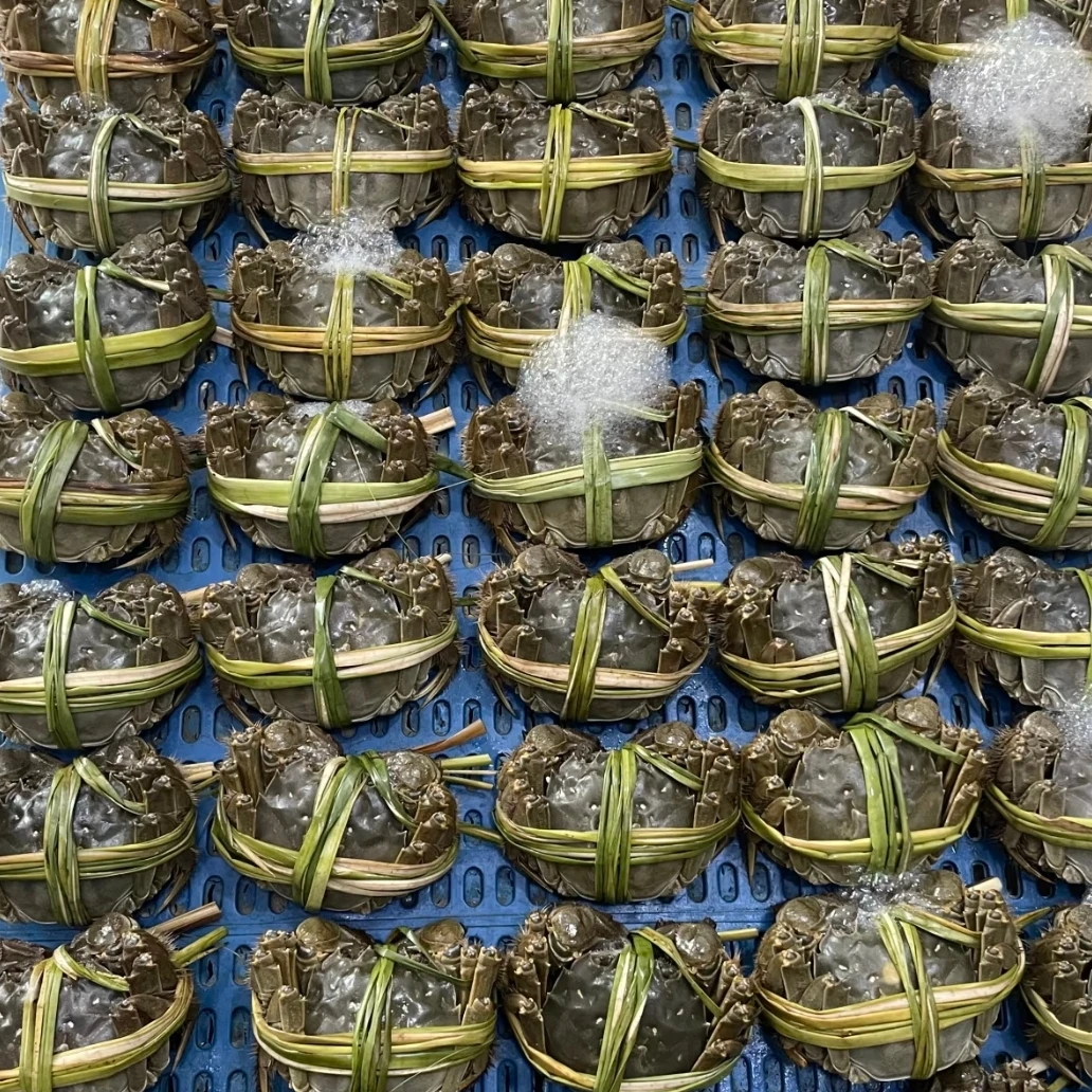 【3.0两活蟹】江苏太湖 大闸蟹 全母蟹  4/8/12只  只发川渝