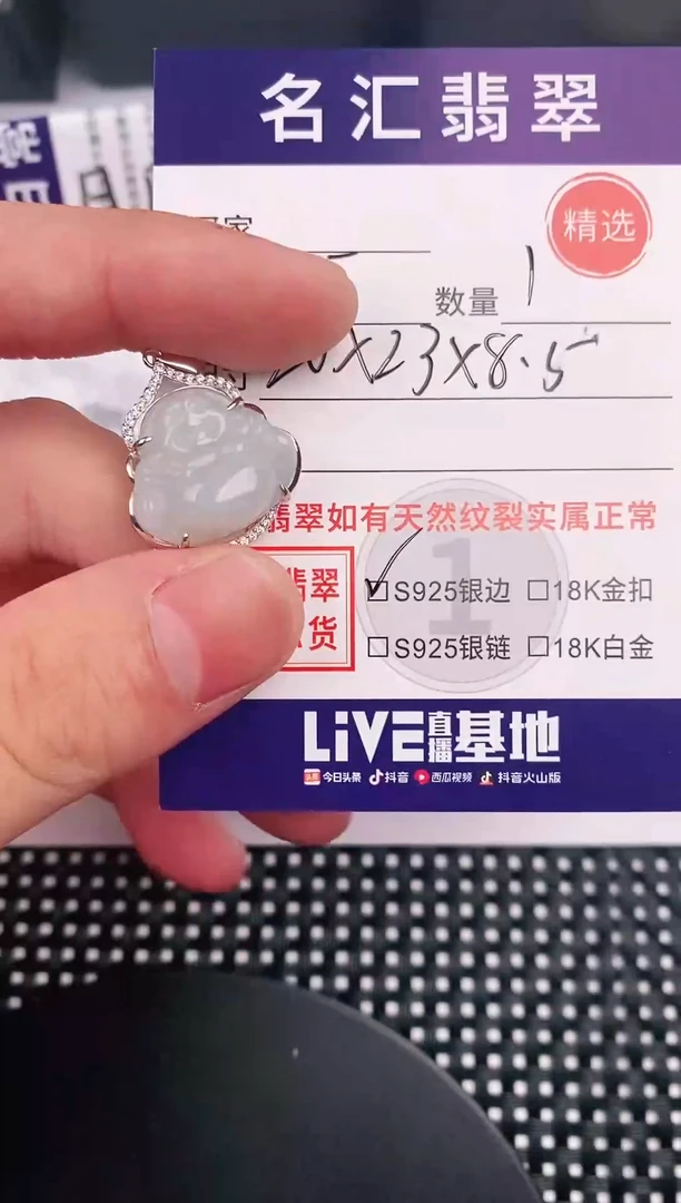 翡翠银S925镶嵌颈饰·