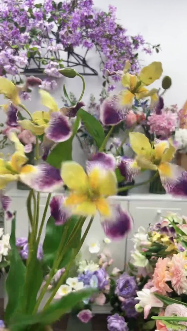 2枝紫黄色鸢尾花花
