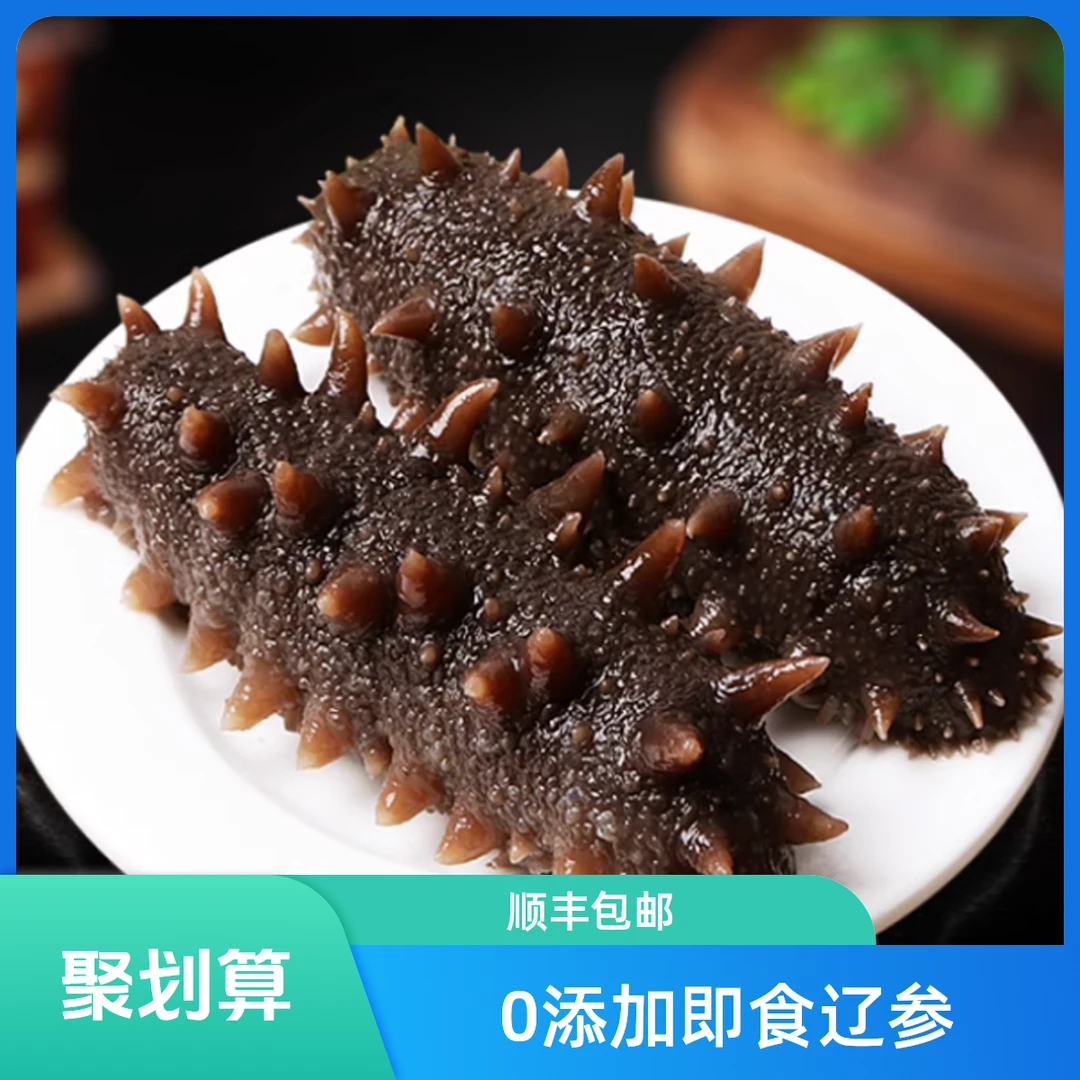 【 8-12头即食辽参】口感美味Q弹顺丰包邮
