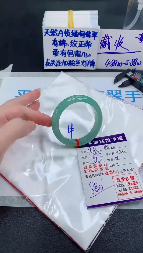 未镶嵌手镯翡翠111111111