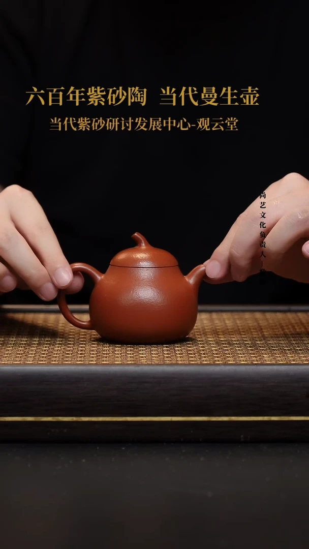 茶壶紫砂宜兴紫砂壶鸡血大红袍茄瓜