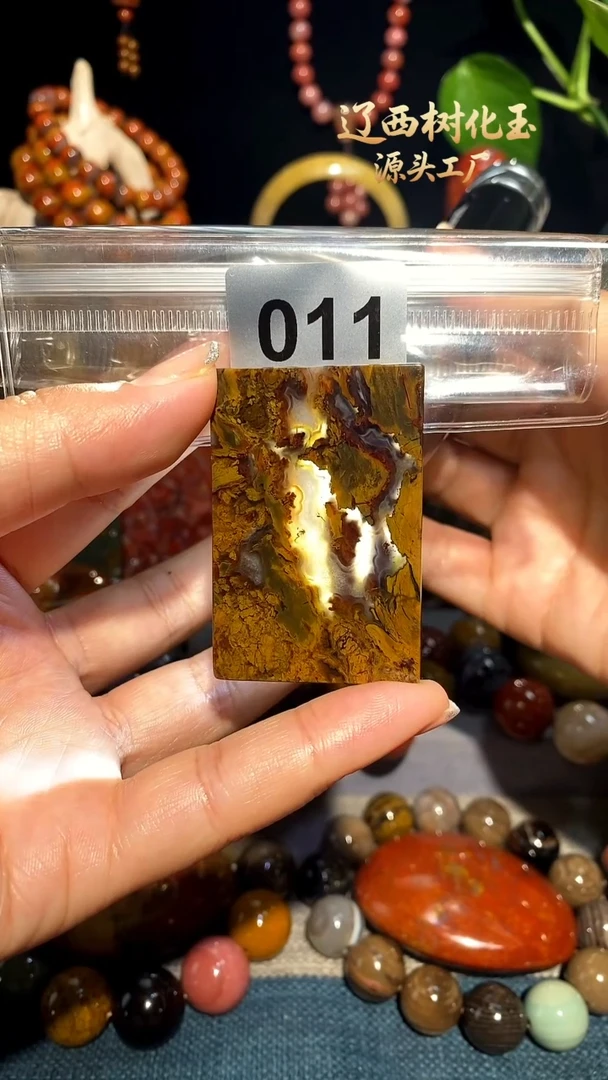 未镶嵌-硅化玉天然北票硅化玉吊坠