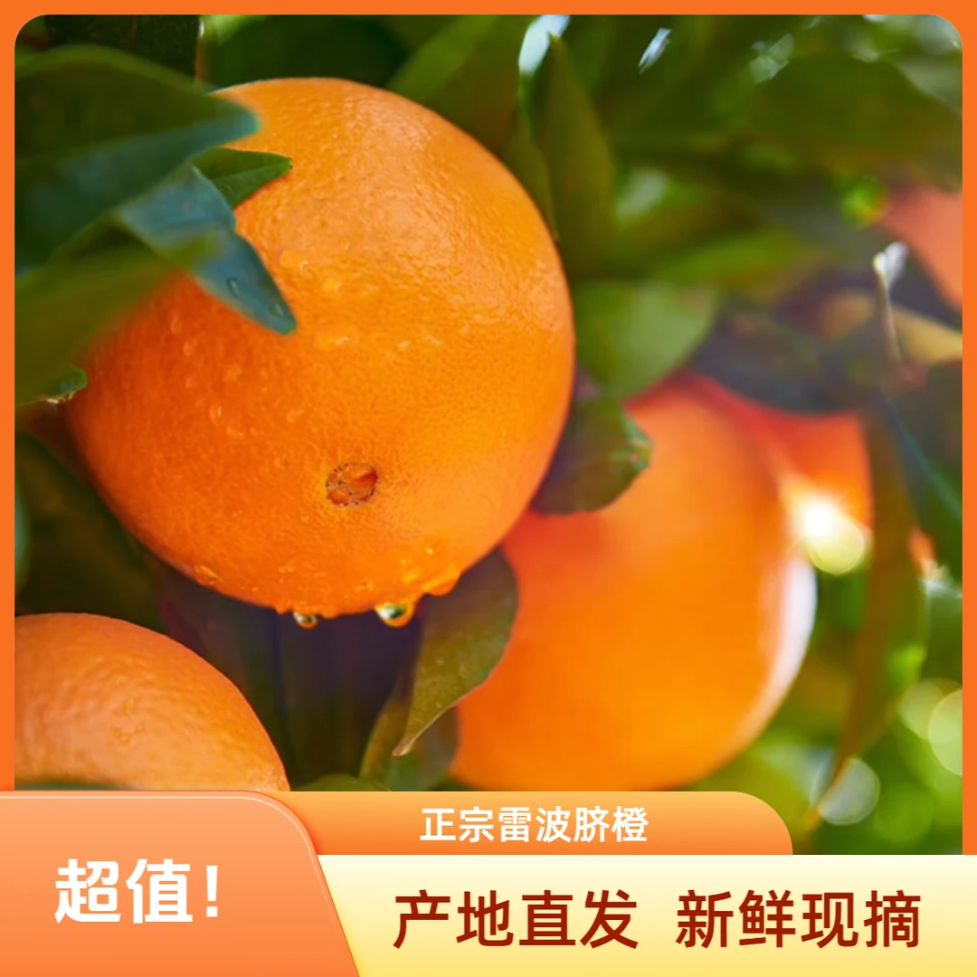 正宗雷波脐橙产地直发尝鲜包邮大凉山自然熟甜