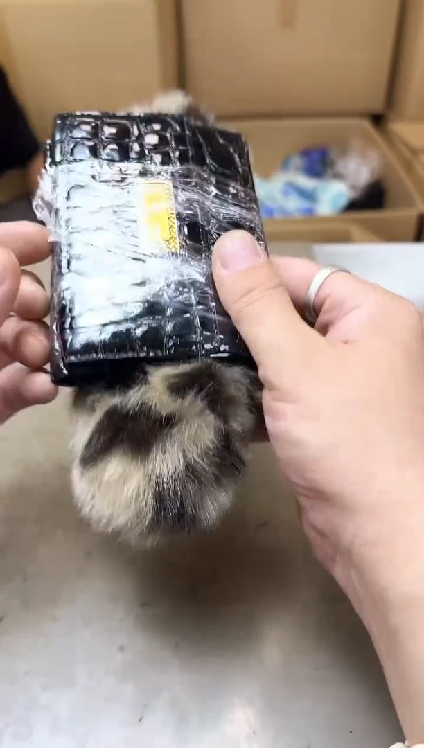 瓷片221聚宝缘优品精选