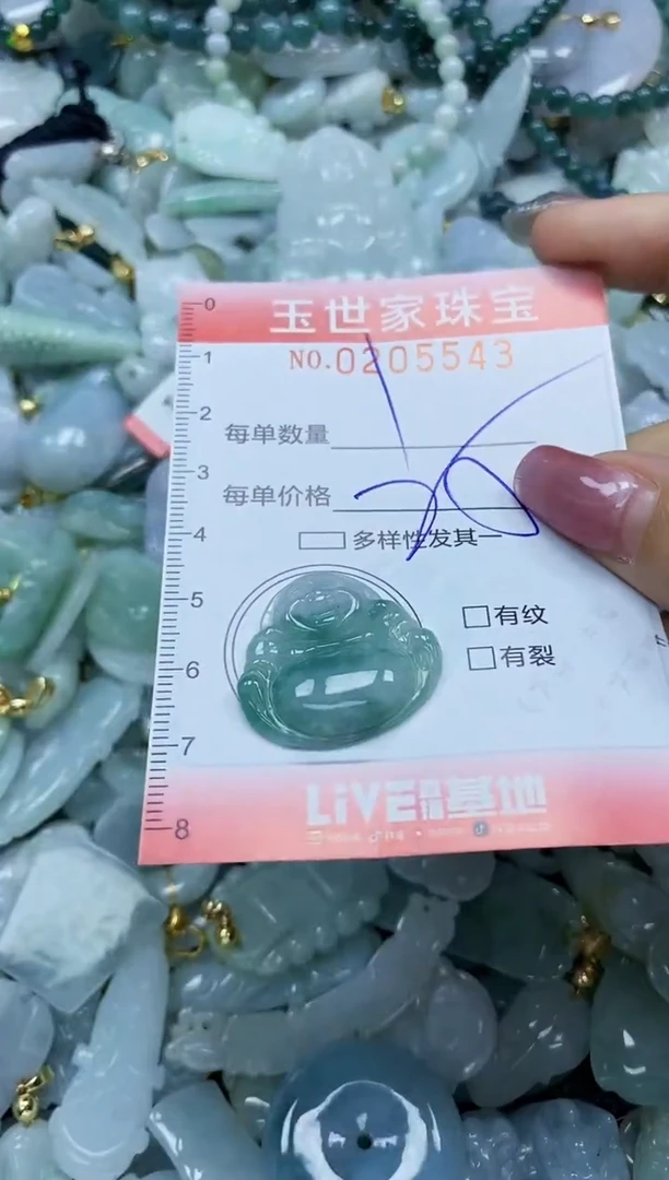 【闪购商品】翡翠颈饰未镶嵌闪购0205543