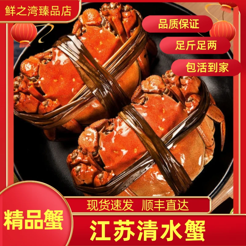 【活蟹】江苏清水大闸蟹 精品挑膏蟹 全母2.3-2.6两3对赠送1对