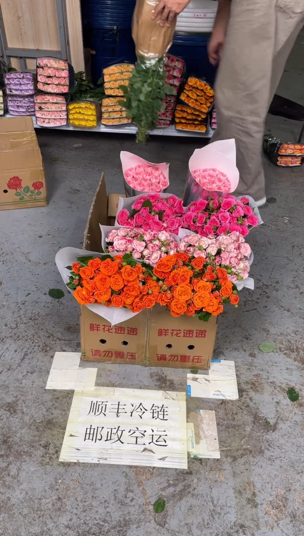 橙芭比10枝+苏菲10枝+折射10枝+粉钻20枝