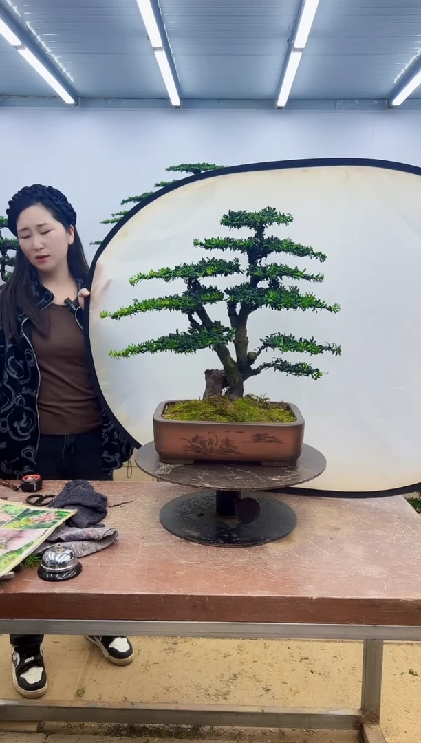 无花朵一物一拍，所见即所得
