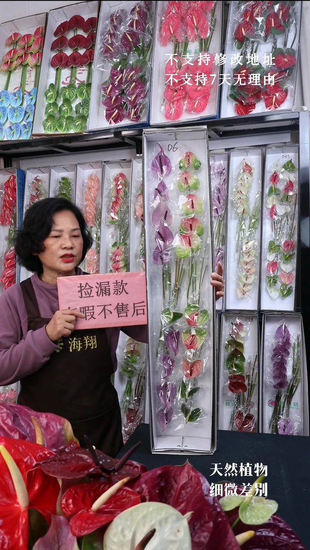 完全开放06混色20支(长15-20cm横冠幅6cm)有瑕福利不退不换不售后