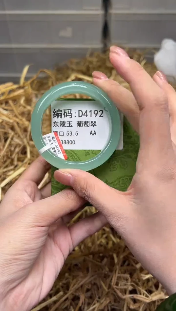 未镶嵌手镯石英质玉D4192